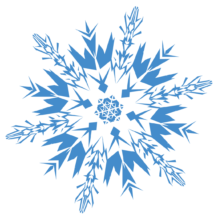 Inclement Weather Policy